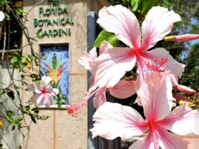 The Florida Botanical Gardens