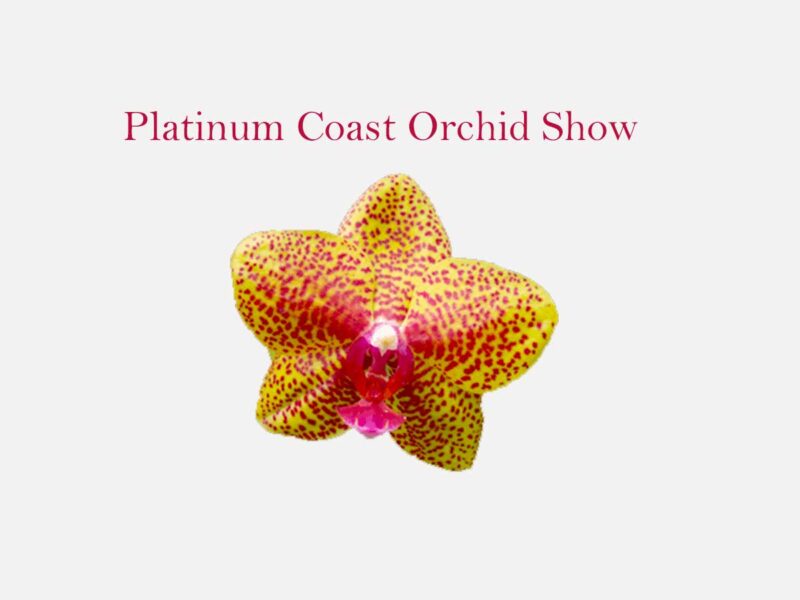 Platinum Coast Orchid Society Annual Orchid Show