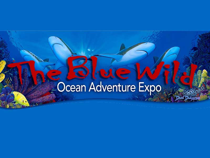 Ocean Adventure Expo