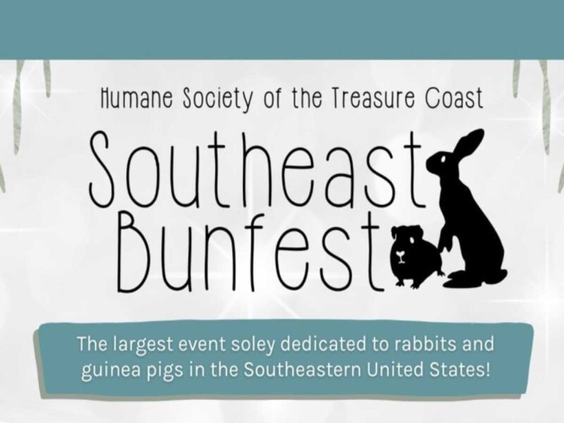 Southeast BunFest