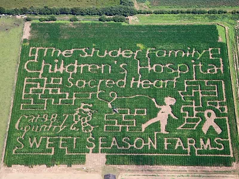 Sweet Season Farms Corn Maze