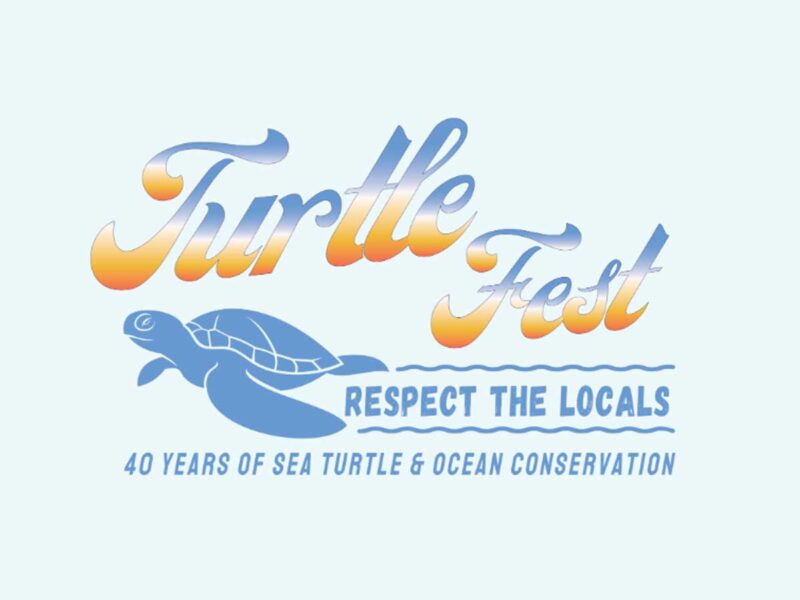 TurtleFest