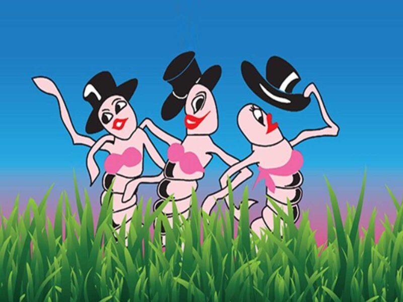 Worm Gruntin' Festival