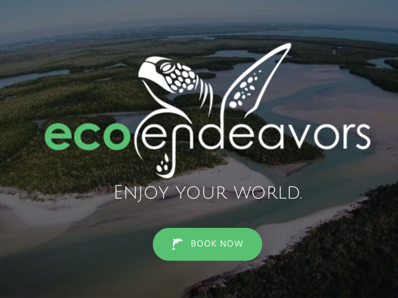 Eco Endeavors