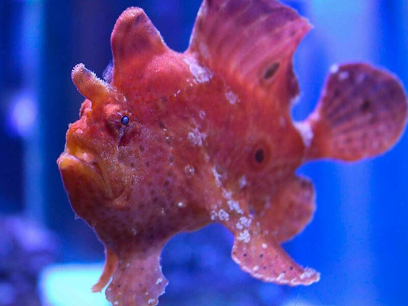 Marine Science Center