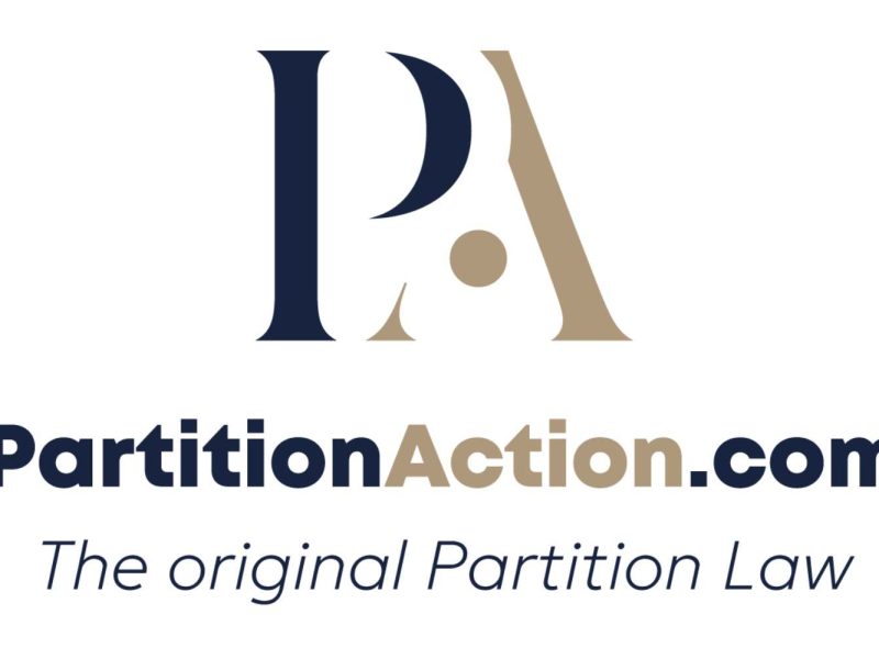Partition Action